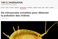 conversation