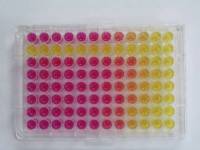 microplaque